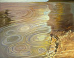 Rain Drops
