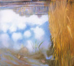 Reeds and Reflection
