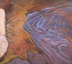 Sea Moss Tidepool